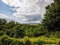 Eladó családi ház, Harsányban 399 M Ft, 7 szobás