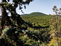 Eladó téglalakás, II. kerületben 149 M Ft, 4 szobás