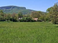 Eladó telek, Badacsonytomajon 31.5 M Ft / költözzbe.hu