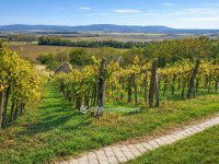 Eladó mezogazdasagi ingatlan, Mindszentkállán 10.5 M Ft