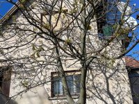 Eladó családi ház, Pilisvörösváron 89.9 M Ft, 4 szobás