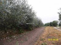 Eladó mezogazdasagi ingatlan, Kakucson 49 M Ft