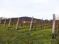 Eladó mezogazdasagi ingatlan, Nadapon 15 M Ft