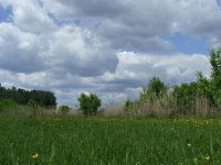 Eladó mezogazdasagi ingatlan, Kelebián 11.58 M Ft