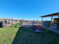 Eladó mezogazdasagi ingatlan