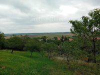 Eladó mezogazdasagi ingatlan