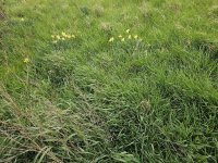 Eladó telek, Győrött 177 M Ft / költözzbe.hu