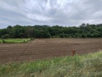 Eladó mezogazdasagi ingatlan, Látrányon 15 M Ft