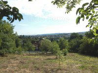 Eladó mezogazdasagi ingatlan