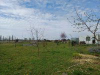 Eladó telek, Szigetcsépen 27 M Ft / költözzbe.hu