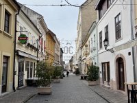 Kiadó ipari ingatlan, Győrött 1080 E Ft / hó