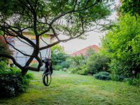 Eladó családi ház, Érden 204.9 M Ft, 1 szobás