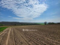 Eladó családi ház, Tengődön 33 M Ft, 4 szobás