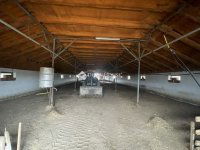 Eladó mezogazdasagi ingatlan, Domaszéken 160 M Ft