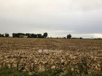Eladó ipari ingatlan, Kaposváron 21.5 M Ft / költözzbe.hu