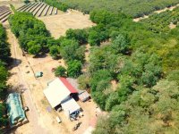 Eladó mezogazdasagi ingatlan, Tenken 32.9 M Ft
