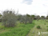 Eladó mezogazdasagi ingatlan, Gyulán 2.8 M Ft