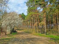 Eladó telek, Debrecenben 3.2 M Ft / költözzbe.hu