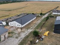 Eladó mezogazdasagi ingatlan, Tiszalúcon 315 M Ft