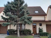 Eladó családi ház, Mátészalkán, Kossuth utcában 108 M Ft