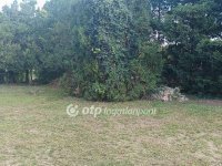 Eladó családi ház, Dömsödön 49.9 M Ft, 1+3 szobás