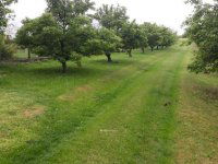 Eladó családi ház, Pogányon 95 M Ft, 5 szobás