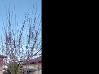 Eladó telek, Debrecenben, Dorottya utcában 110 M Ft