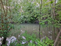 Eladó telek, Gyomaendrődön 6.5 M Ft / költözzbe.hu