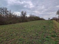 Eladó mezogazdasagi ingatlan, Balatonalmádiban 15 M Ft