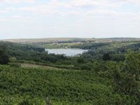 Eladó mezogazdasagi ingatlan