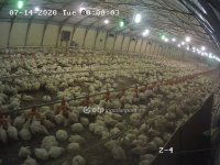 Eladó mezogazdasagi ingatlan, Csőszön 298 M Ft