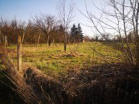 Eladó mezogazdasagi ingatlan, Gyulán 5.9 M Ft