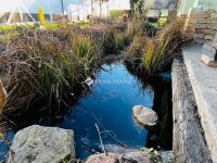 Eladó családi ház, Sülysápon 65 M Ft, 3 szobás