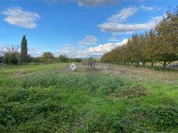 Eladó családi ház, Galgahévízen 45 M Ft, 3+1 szobás