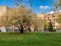 Eladó panellakás, Szentendrén, Károly utcában 67.9 M Ft