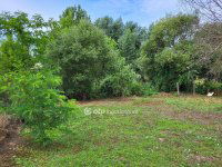 Eladó családi ház, Enyingen 32.5 M Ft, 3 szobás