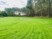 Eladó mezogazdasagi ingatlan