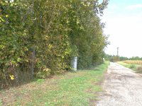 Eladó telek, Kápolnásnyéken 25 M Ft / költözzbe.hu