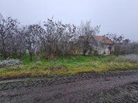 Eladó mezogazdasagi ingatlan, Tiszajenőn 2 M Ft