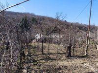 Eladó telek, Pellérden 3.9 M Ft / költözzbe.hu