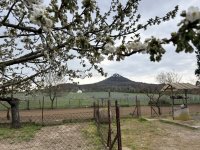 Eladó családi ház, Káptalantótin 77 M Ft, 3 szobás