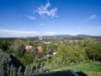 Eladó családi ház, Tinnyén 395 M Ft, 7 szobás