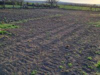 Eladó telek, Siófokon 17 M Ft / költözzbe.hu