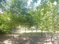 Eladó telek, Szekszárdon, Bezerédj utcában 20 M Ft