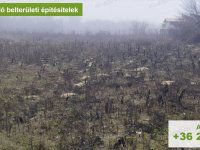 Eladó telek