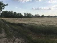 Eladó ipari ingatlan