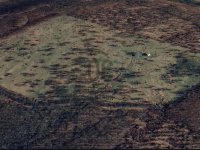 Eladó mezogazdasagi ingatlan, Pilismaróton 230 M Ft
