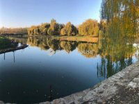 Eladó telek, Bólyban 99 M Ft / költözzbe.hu