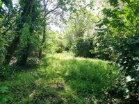 Eladó telek, Érden 69.5 M Ft / költözzbe.hu