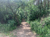 Eladó mezogazdasagi ingatlan